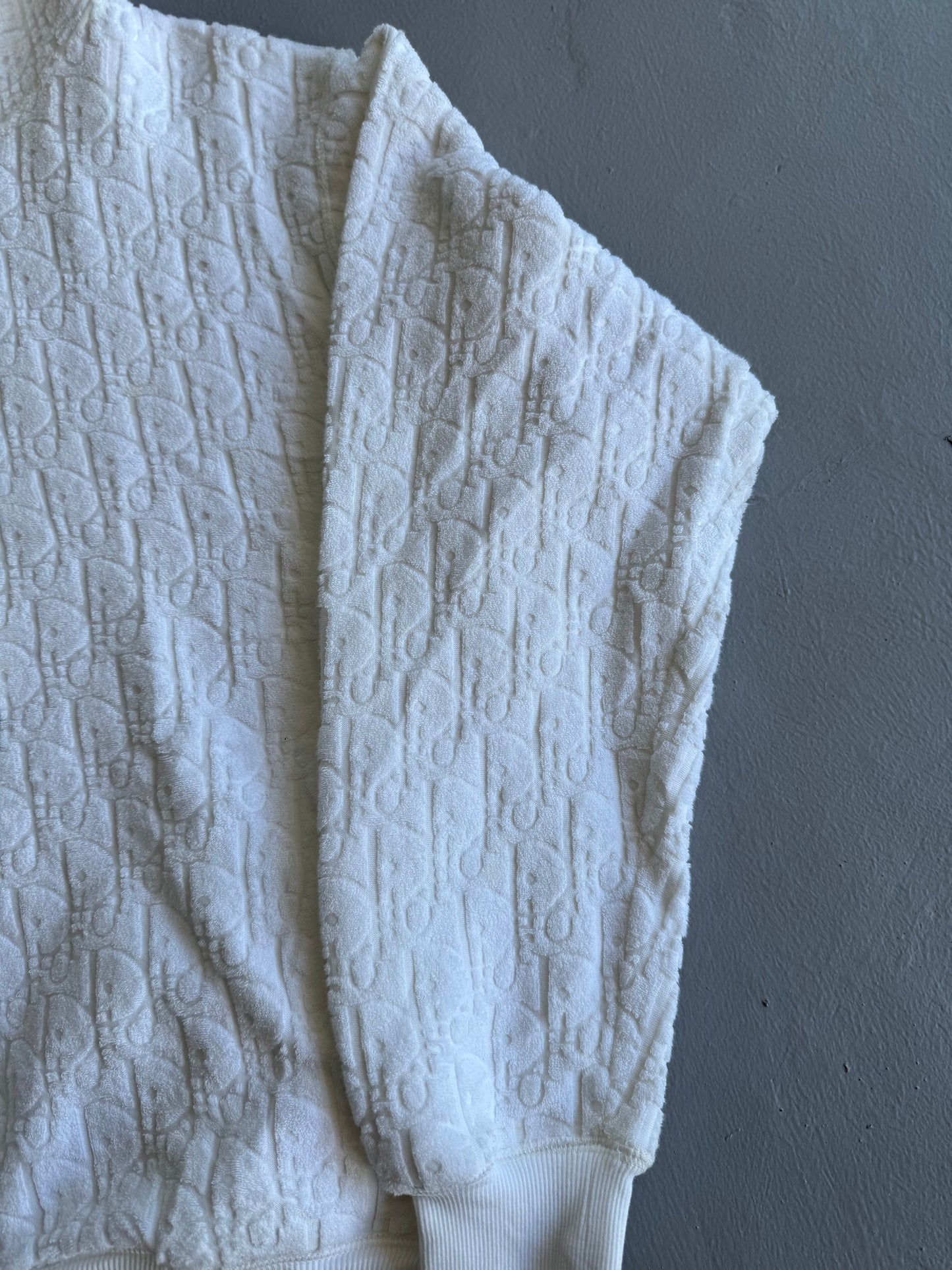 Dior Oblique Towel Hoodie