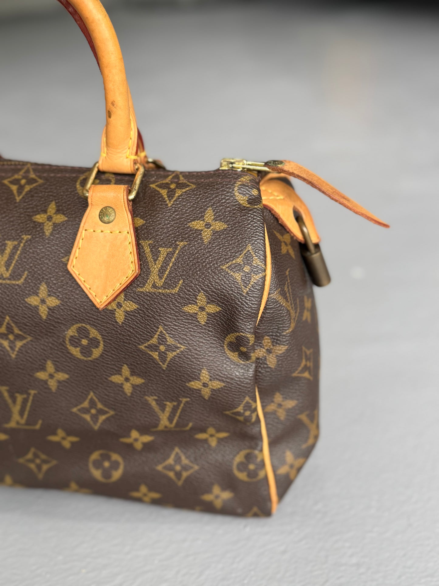 Louis Vuitton Speedy 25