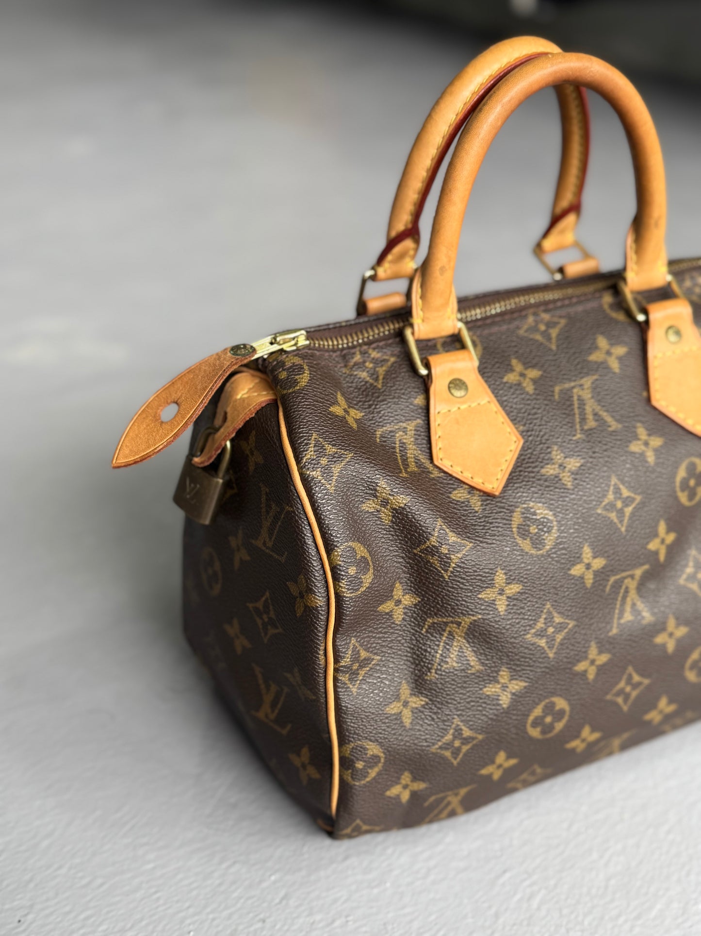 Louis Vuitton Speedy 25