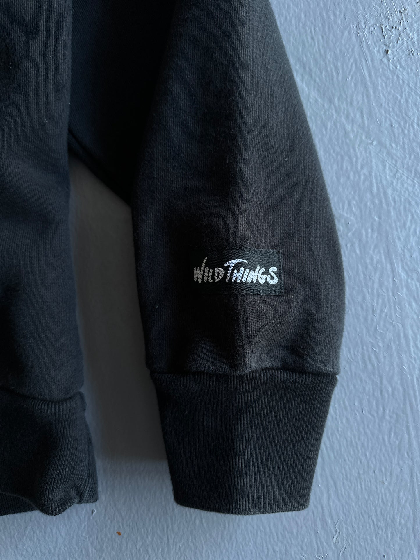 Mastermind x Wild Things Hoodie