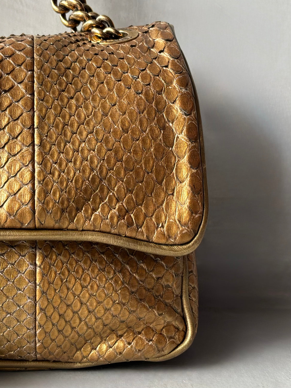 Chanel Gold Python Shiva Flap Bag