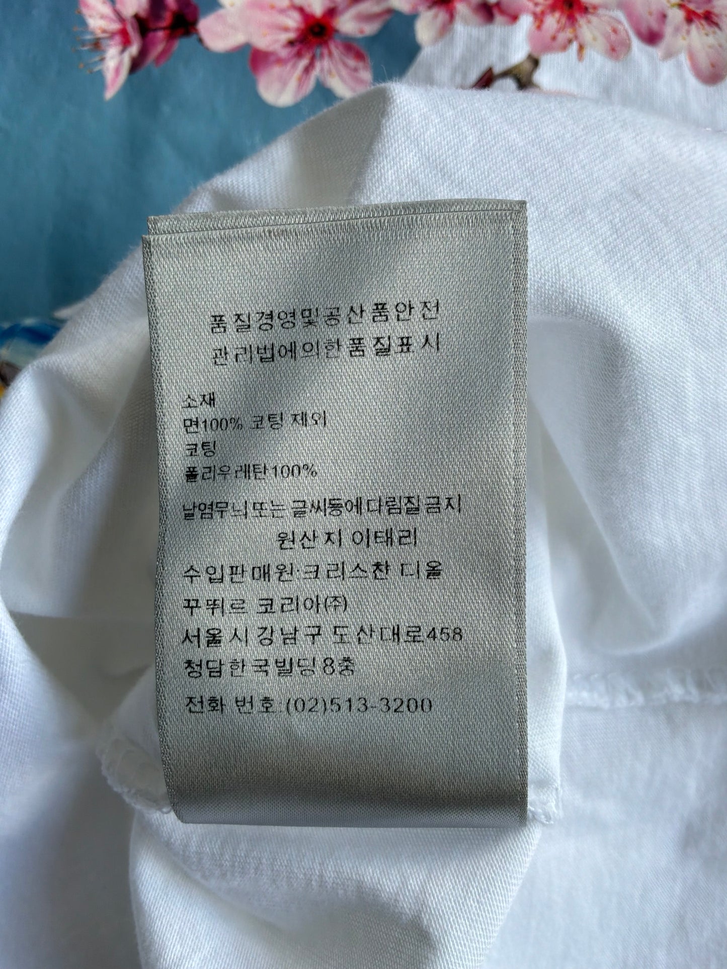 Dior X Soroyama Dinosuar Tee