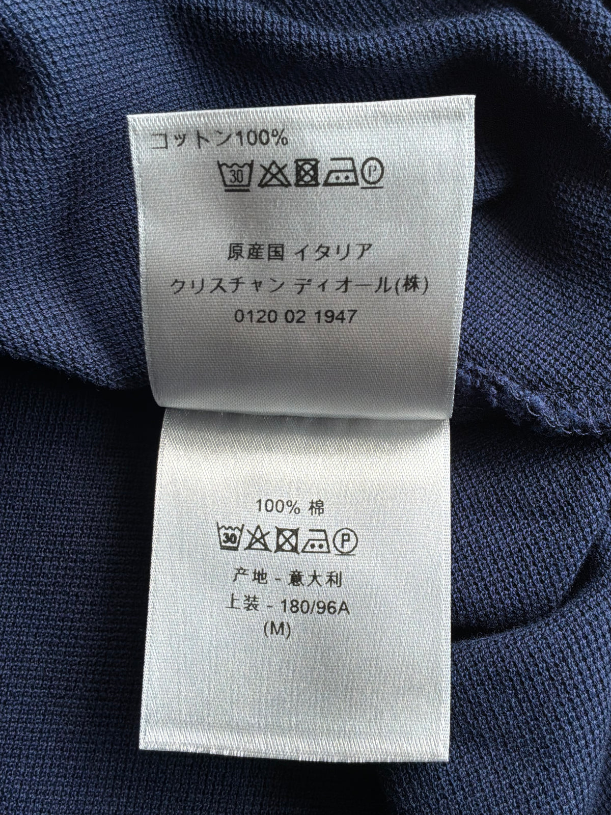 Dior Icon Logo Polo Shirt