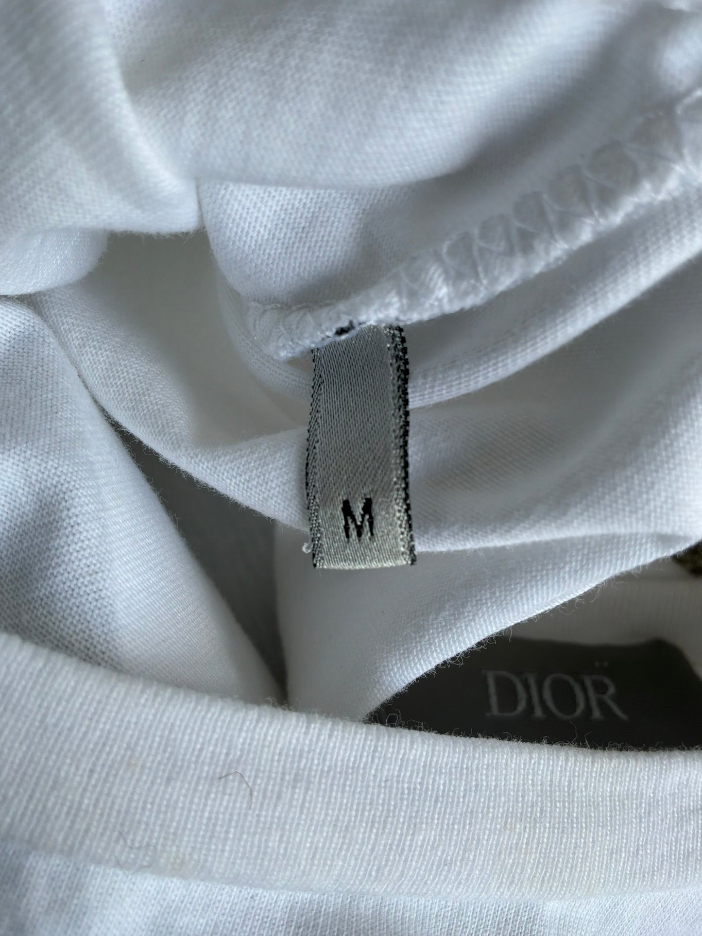 Dior X Soroyama Dinosuar Tee