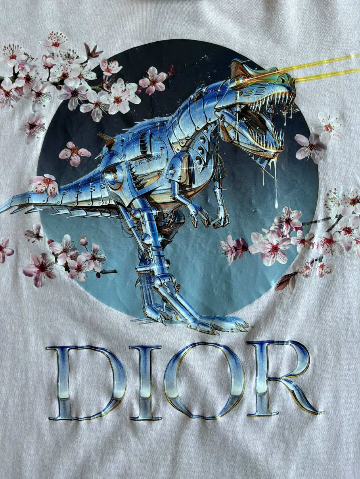 Dior X Soroyama Dino Tee