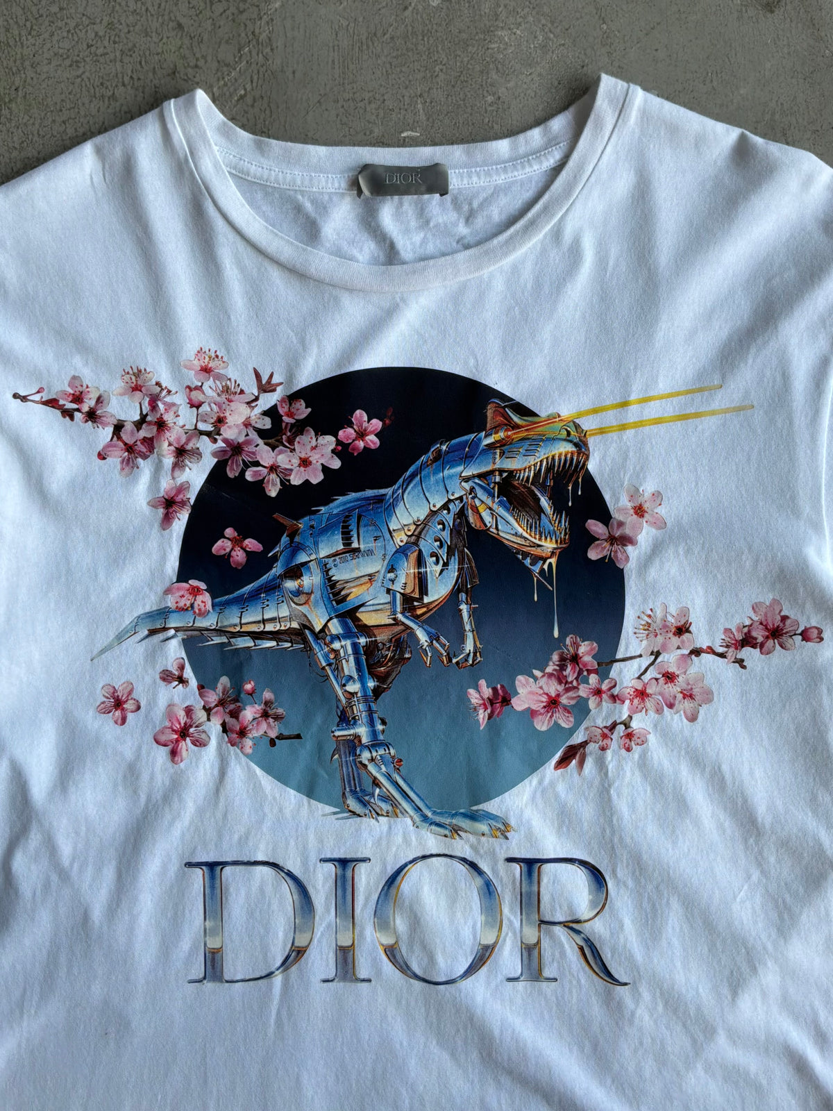Dior X Soroyama Dinosuar Tee