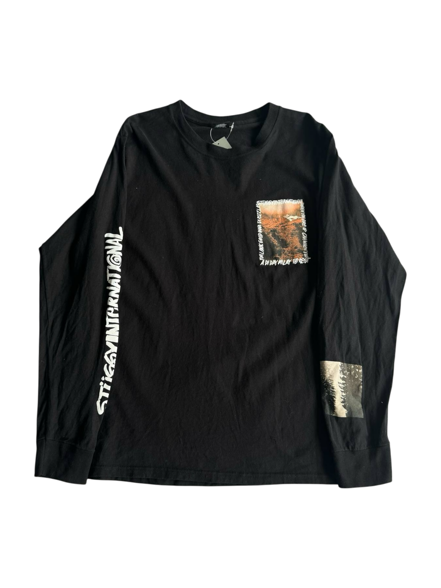 Stussy International Longsleeves