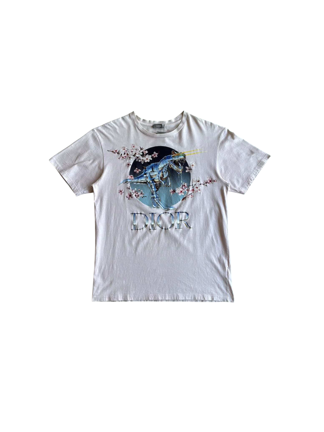 Dior X Soroyama Dino Tee