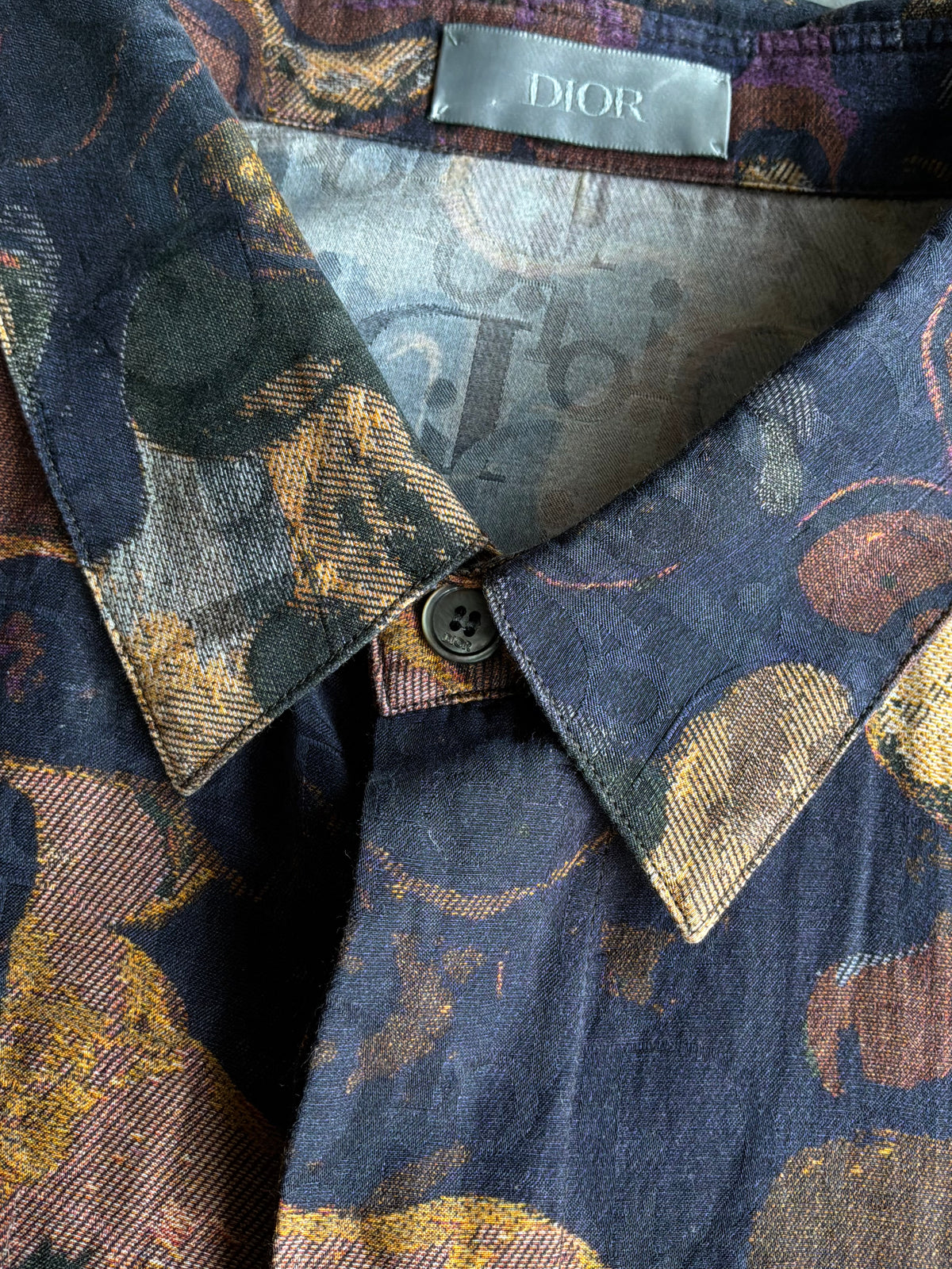 Dior X Peter Doig Oblique Camouflage Silk Shirt