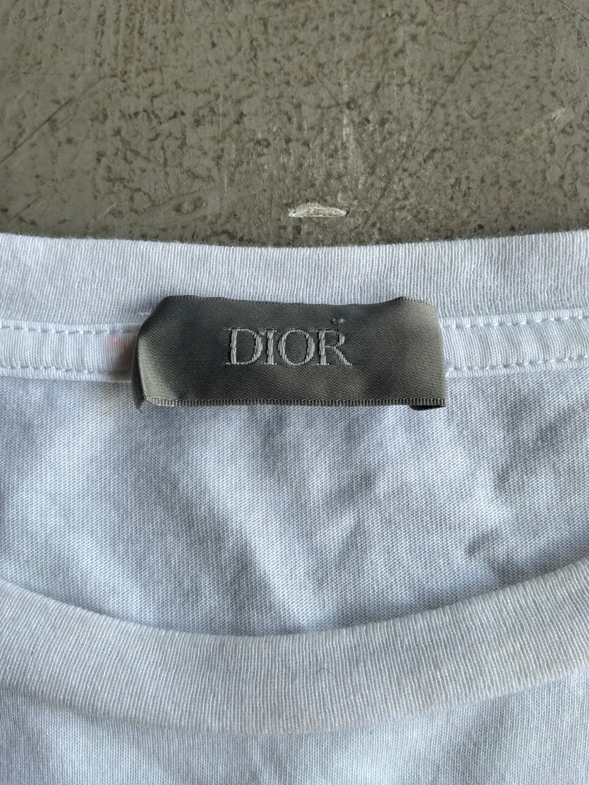 Dior X Soroyama Dinosuar Tee