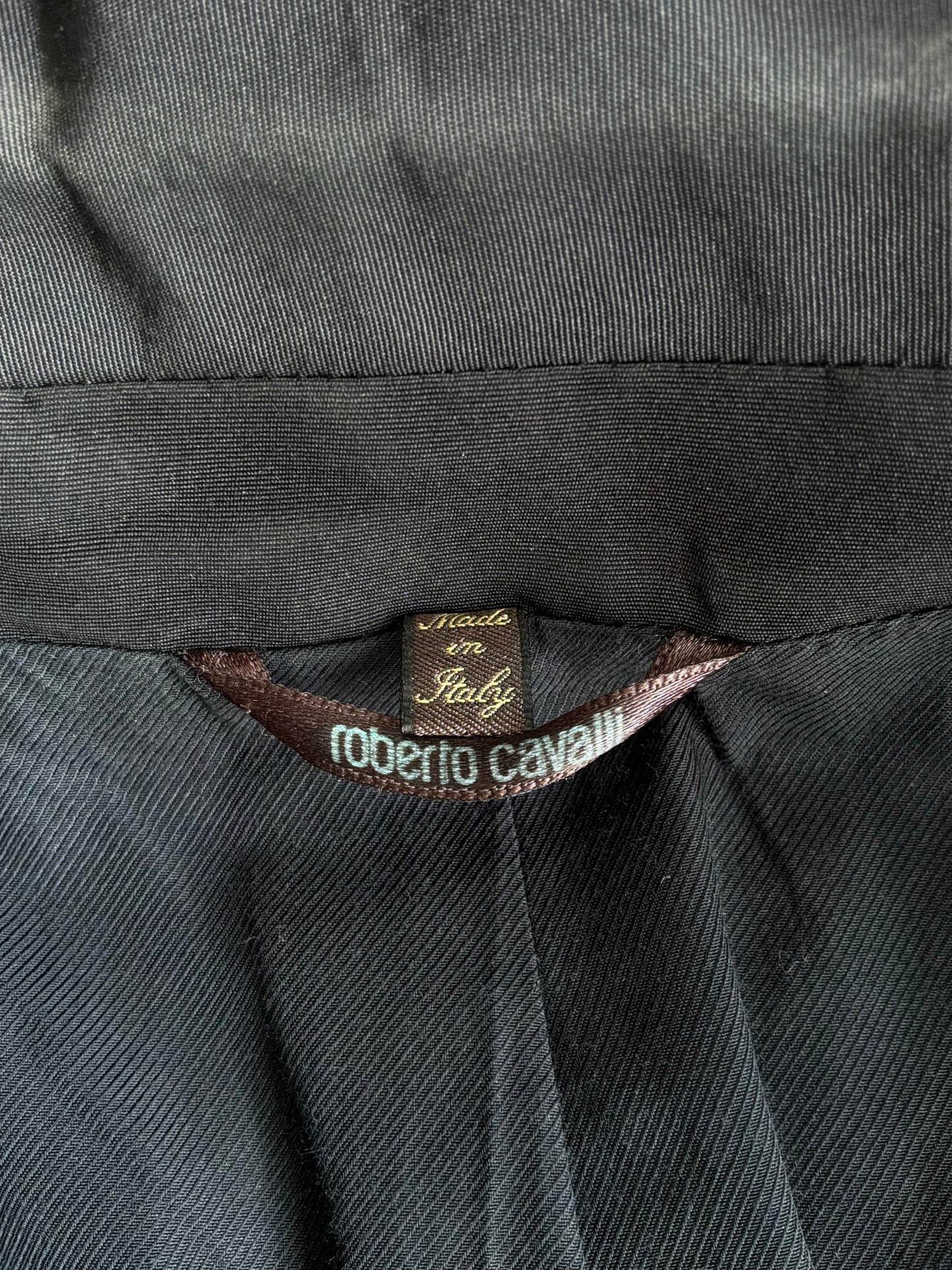 Roberto Cavalli Lion Print Blazer