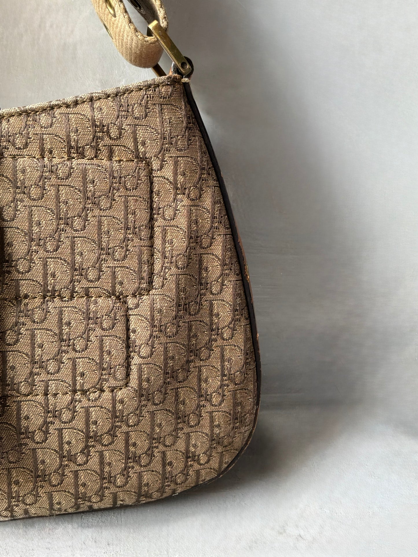 Christian Dior Street Chic Columbus Shoulder Bag