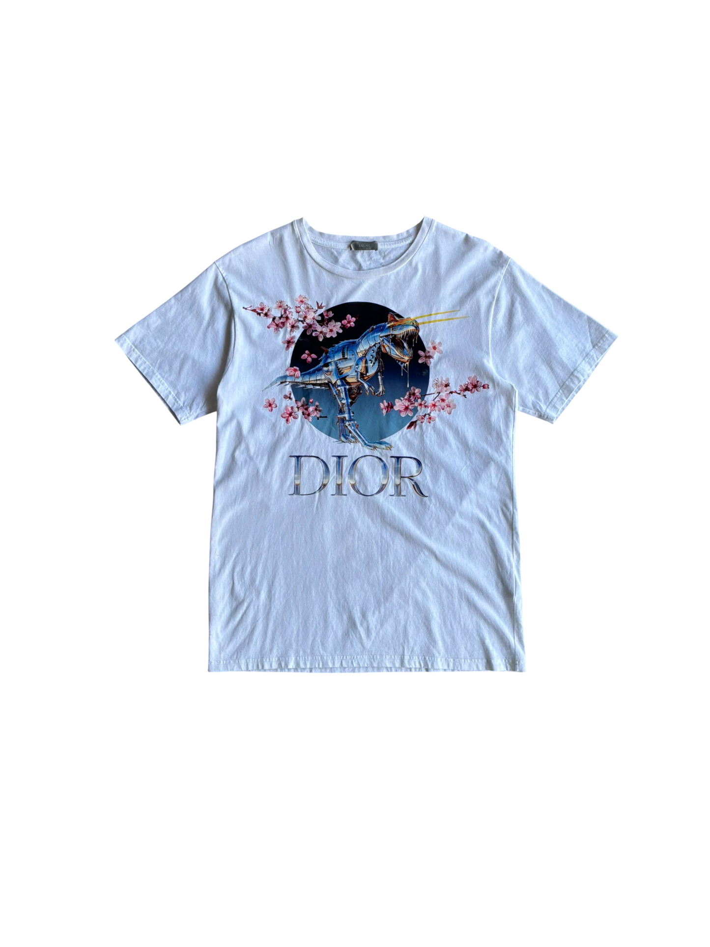 Dior X Soroyama Dinosuar Tee