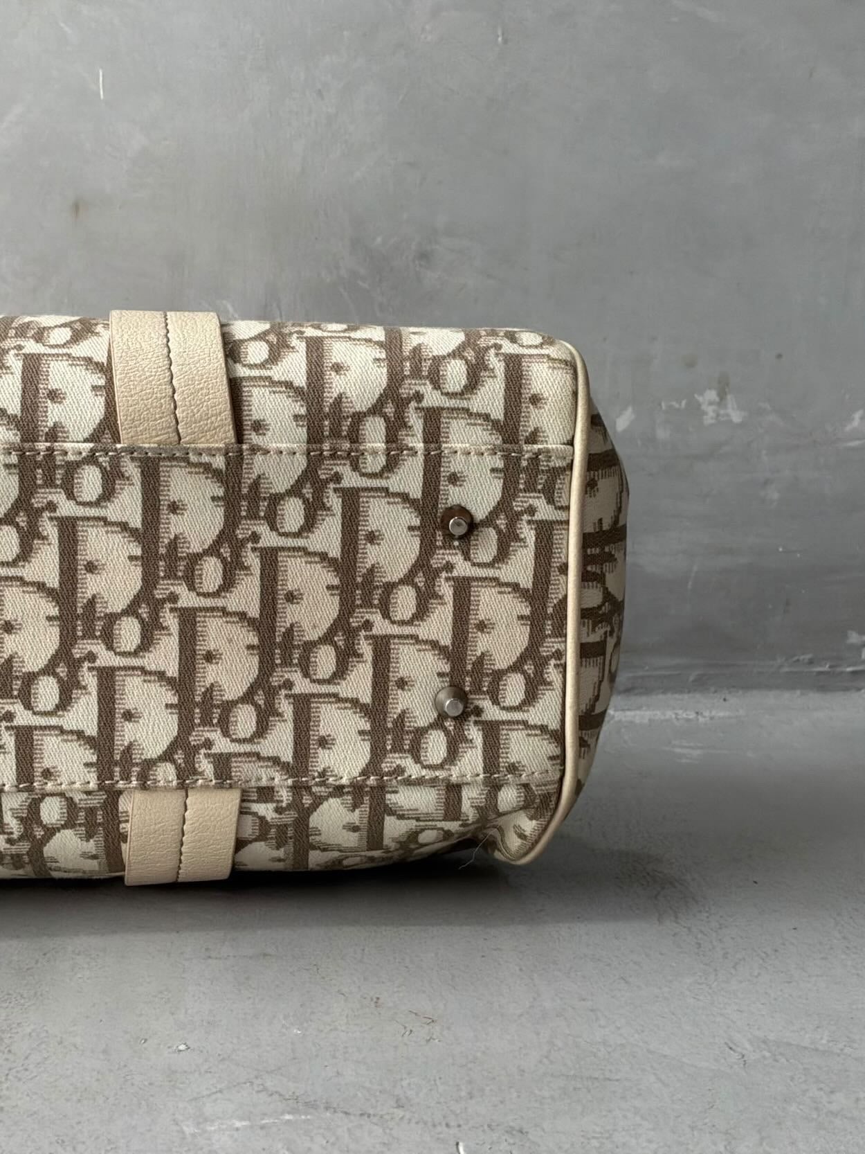 Dior Floral Trotter Bowler Bag