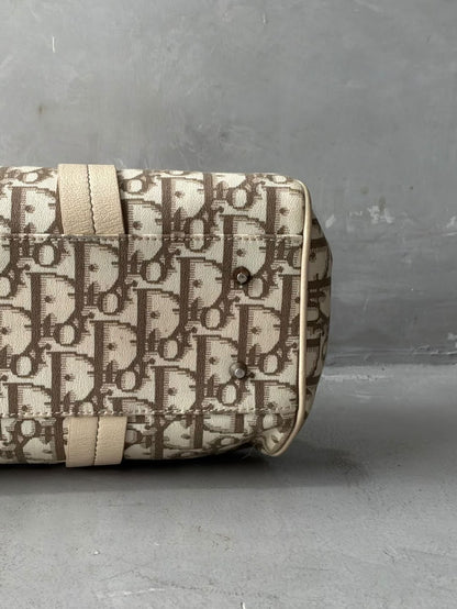 Dior Floral Trotter Bowler Bag