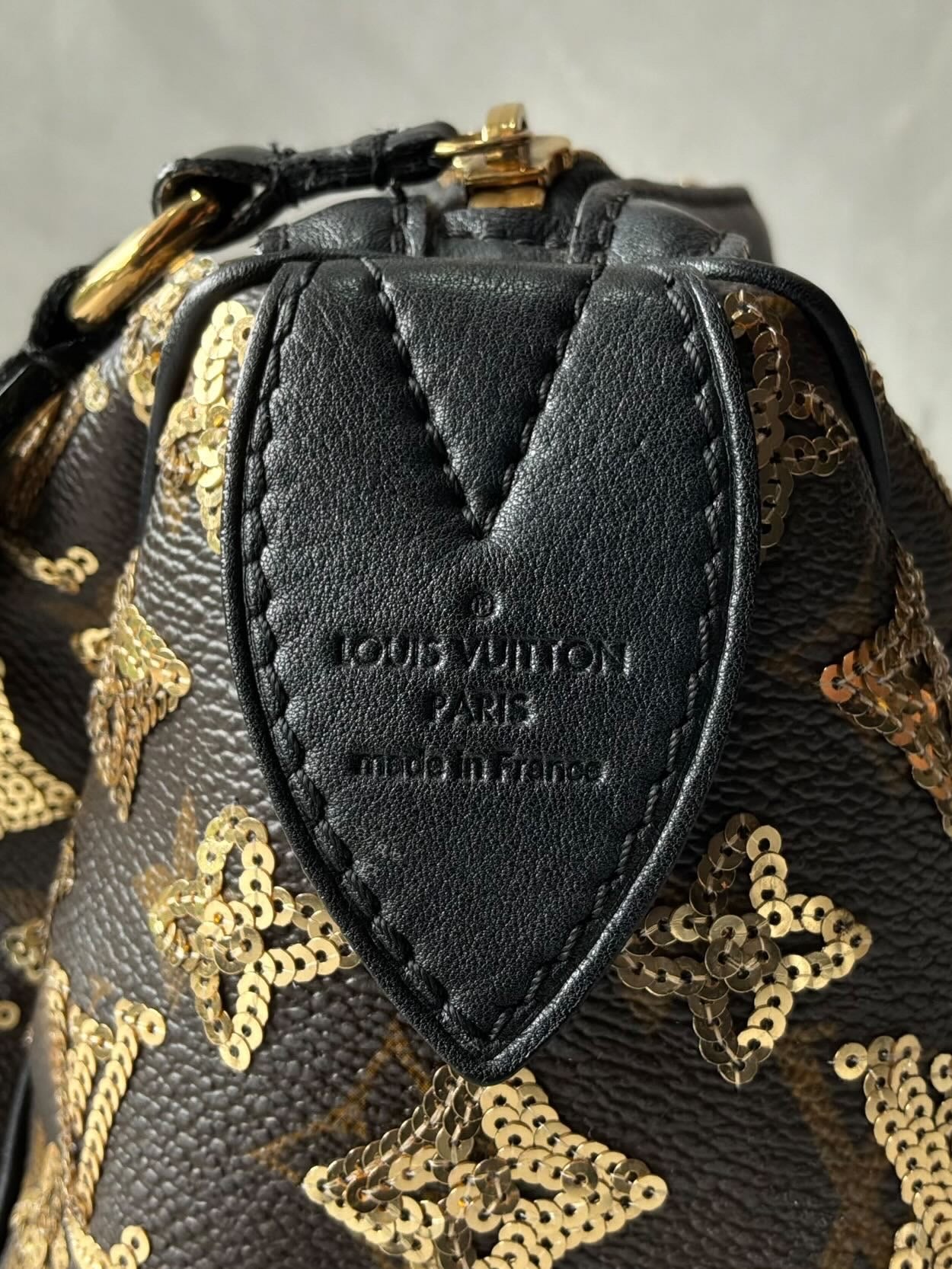 Louis Vuitton Gold Sequins Speedy 28 Bag