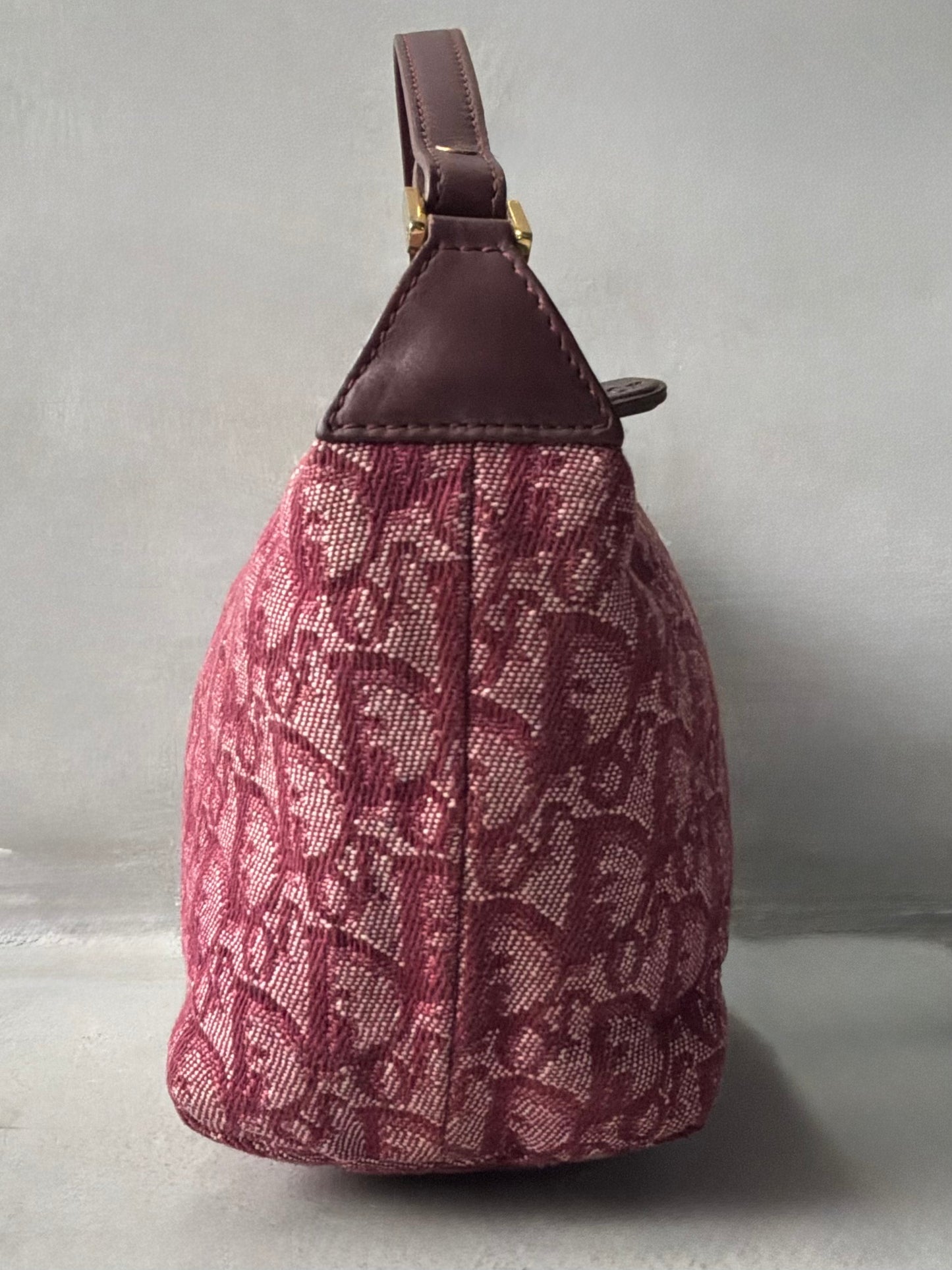 Dior Pink Trotter Pochette Bag