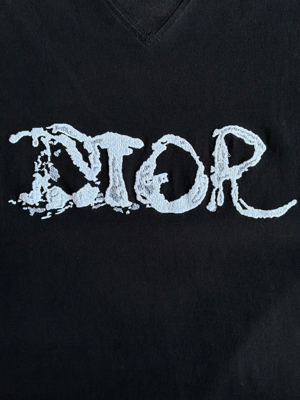 Dior X Peter Doig Spellout Script Tee