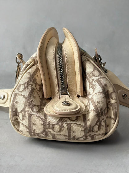 Dior Floral Trotter Bowler Bag