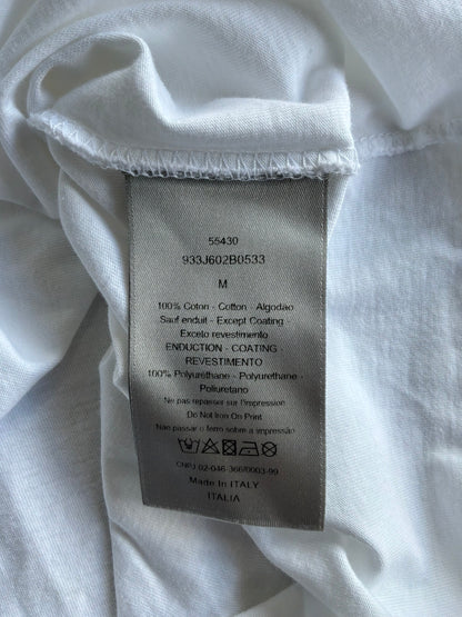 Dior X Soroyama Dinosuar Tee