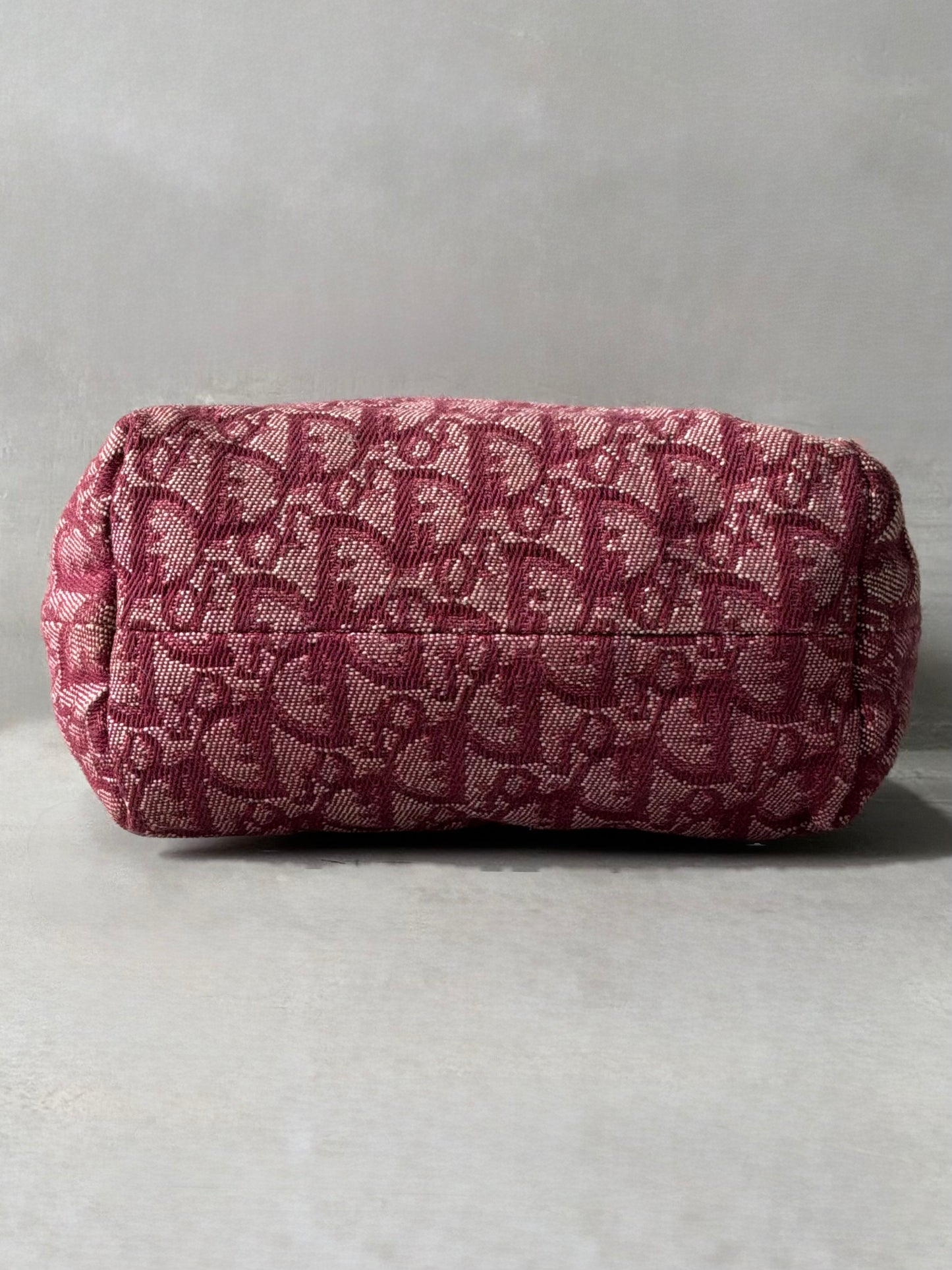 Dior Pink Trotter Pochette Bag