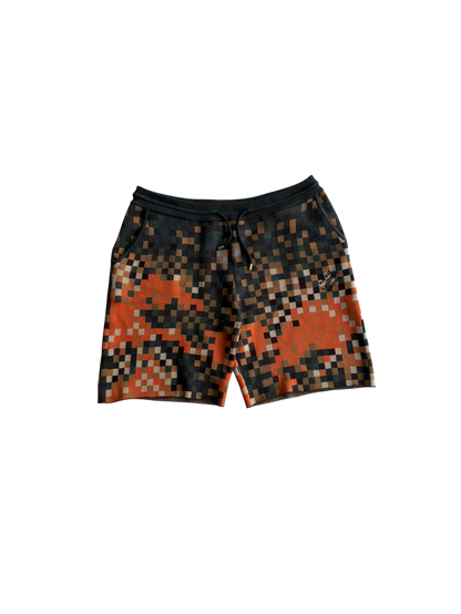 Louis Vuitton Lovers Damouflage Shorts