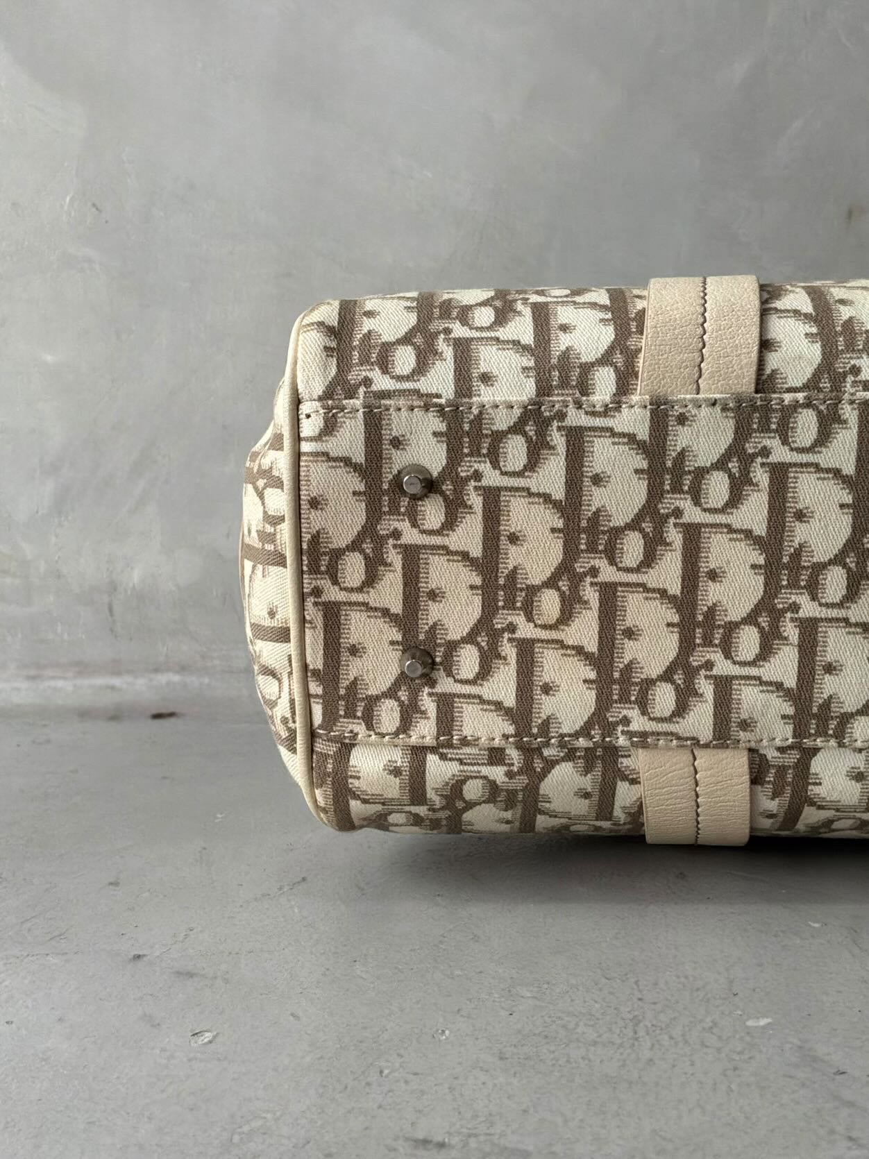 Dior Floral Trotter Bowler Bag