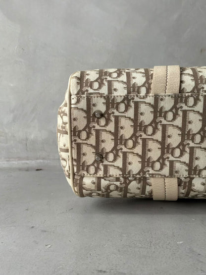 Dior Floral Trotter Bowler Bag
