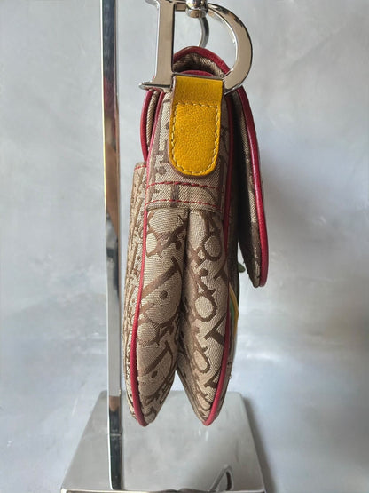 Dior John Galliano Rasta Saddle Bag