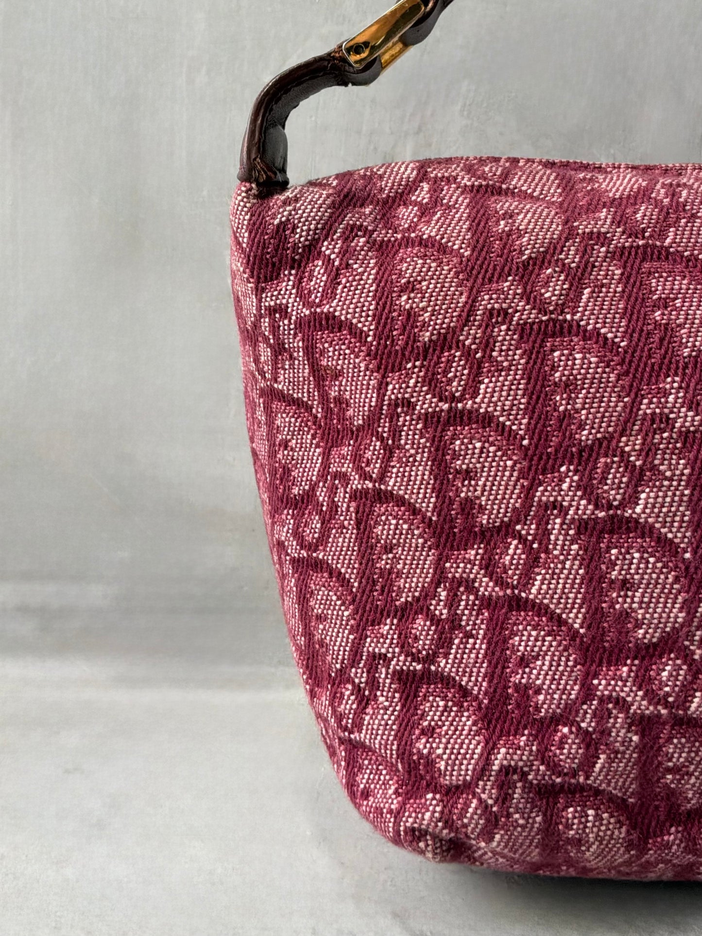 Dior Pink Trotter Pochette Bag