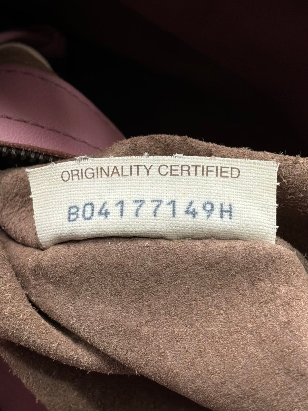 Bottega Veneta Pink Campana Intrecciato Hobo Bag