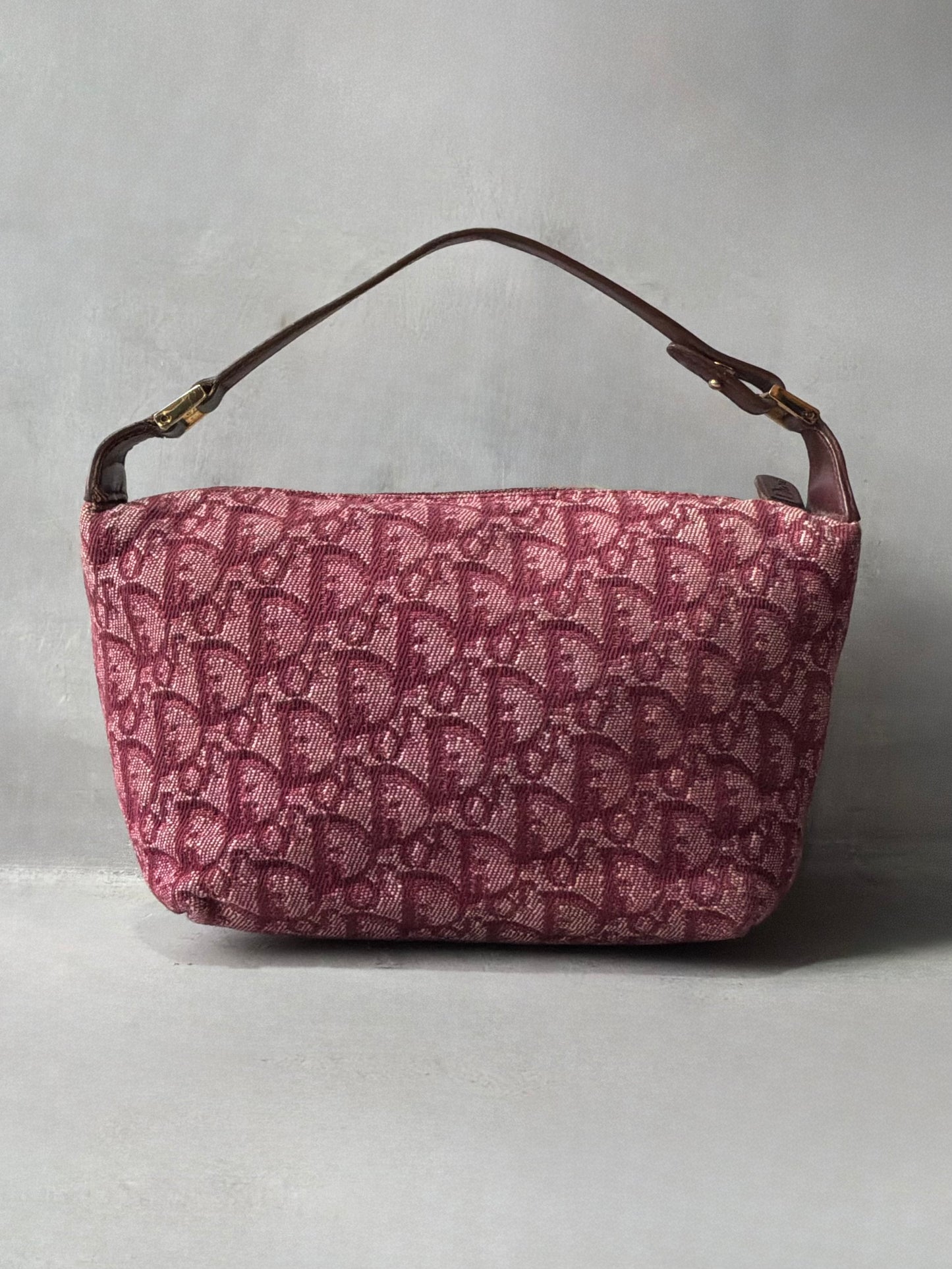 Dior Pink Trotter Pochette Bag