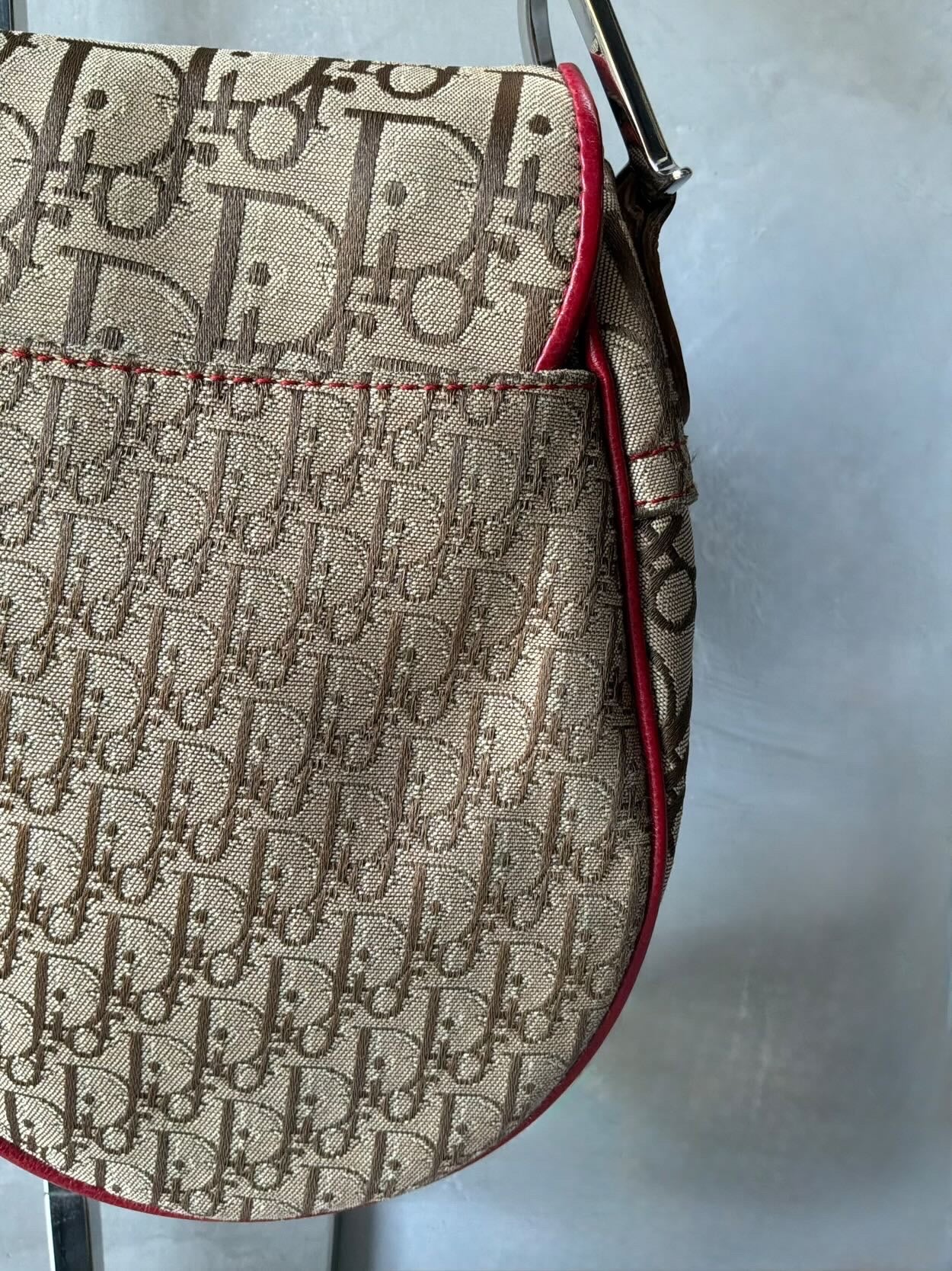 Dior John Galliano Rasta Saddle Bag