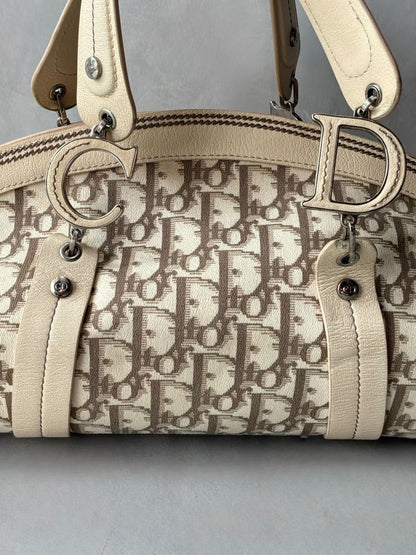 Dior Floral Trotter Bowler Bag