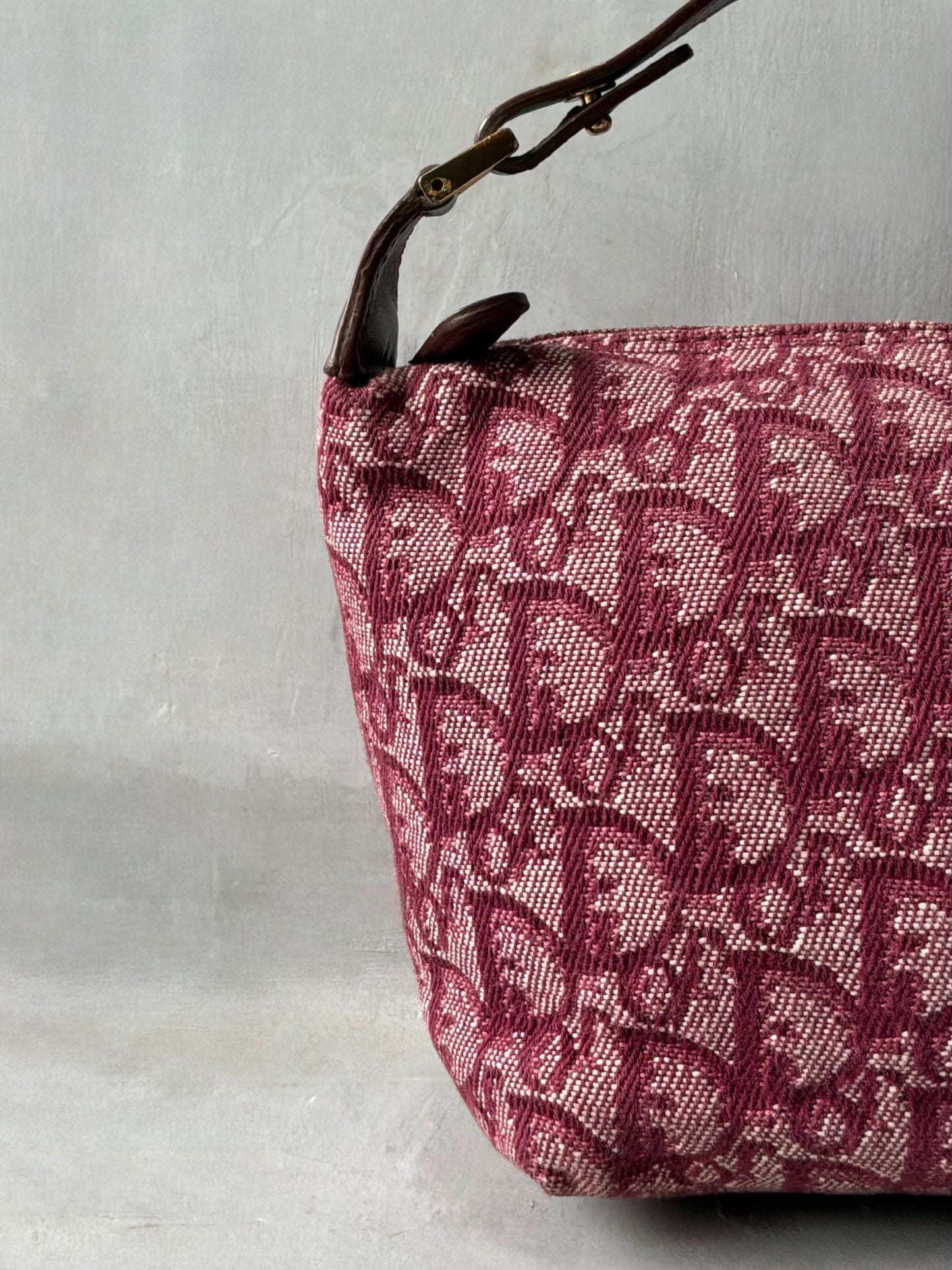 Dior Pink Trotter Pochette Bag