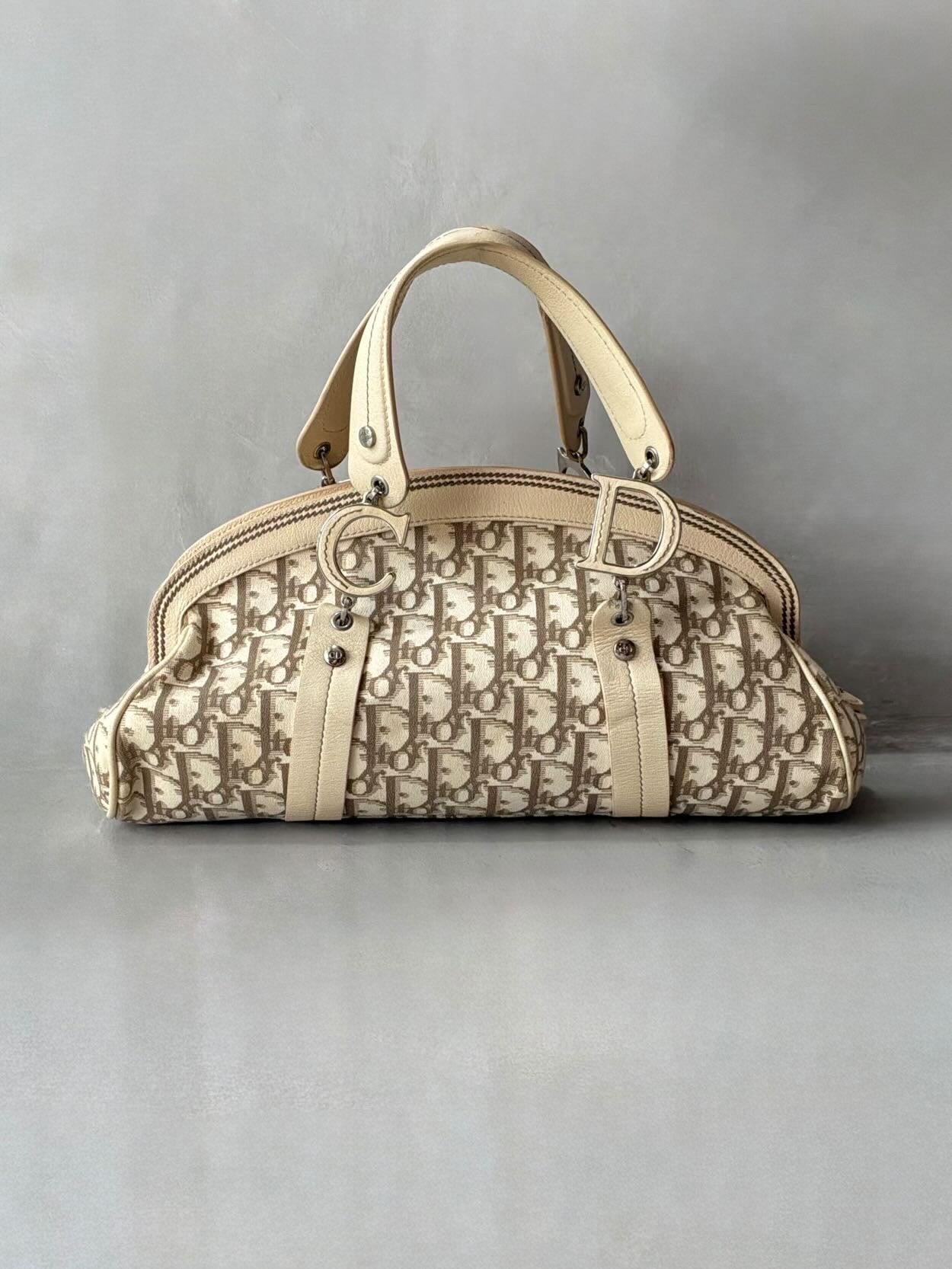 Dior Floral Trotter Bowler Bag