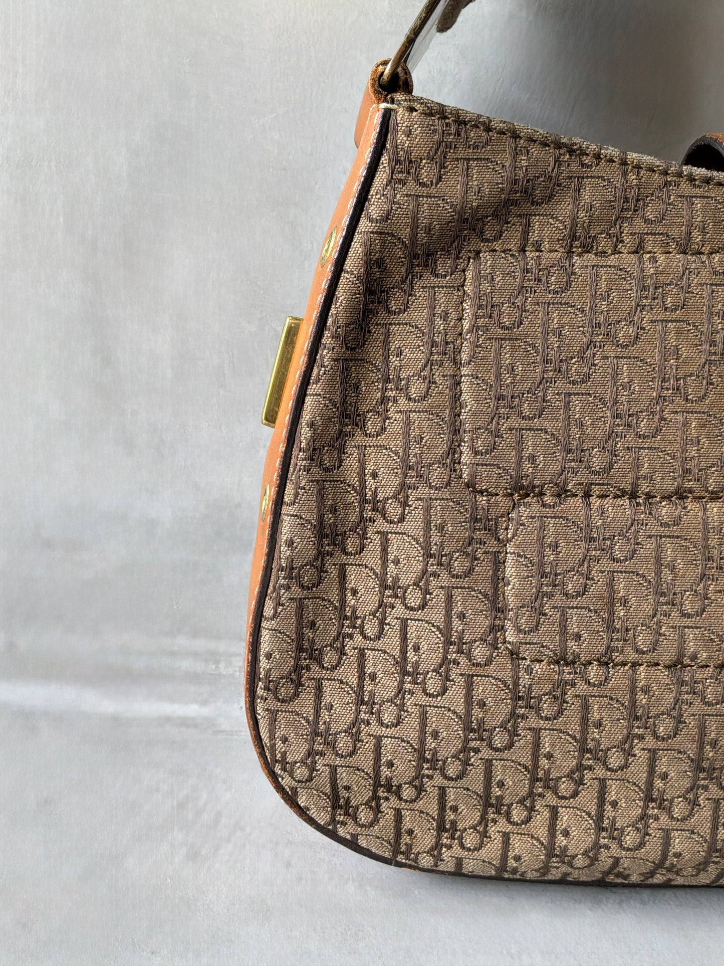 Christian Dior Street Chic Columbus Shoulder Bag