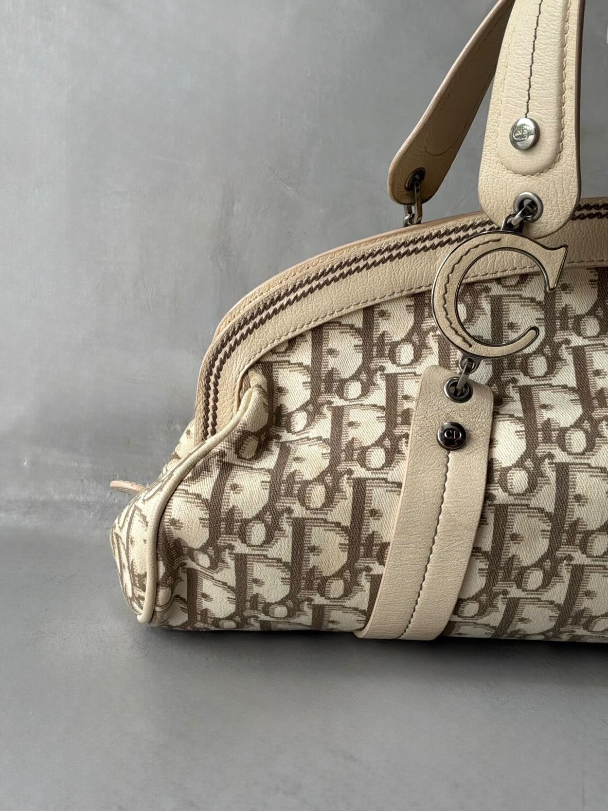Dior Floral Trotter Bowler Bag