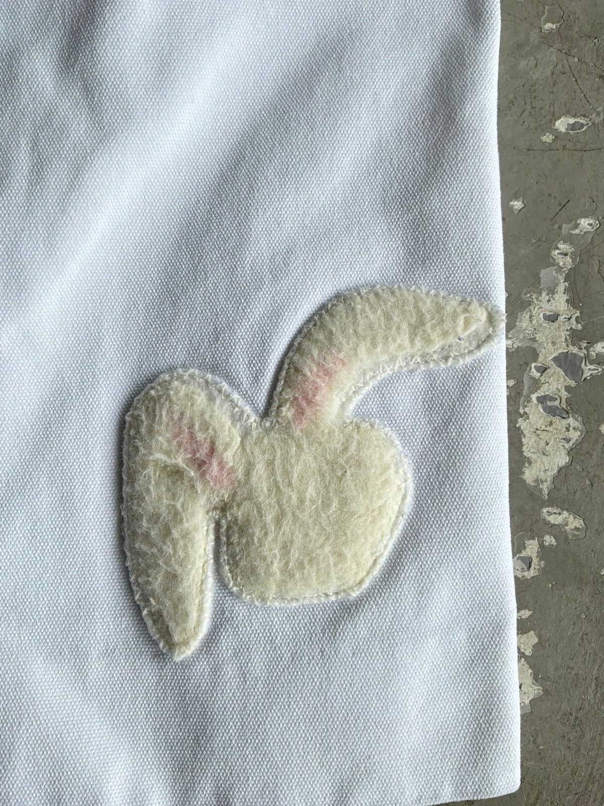 Dior X ERL Bunny Shorts